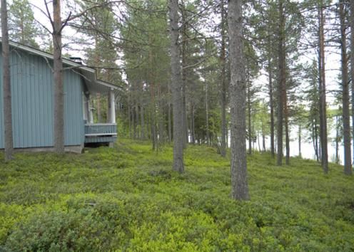 Дома для отпуска Lomakylä Atimo Alakitka-6